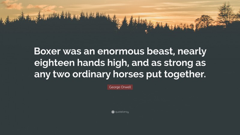 George Orwell Quote: “Boxer was an enormous beast, nearly eighteen hands high, and as strong as any two ordinary horses put together.”