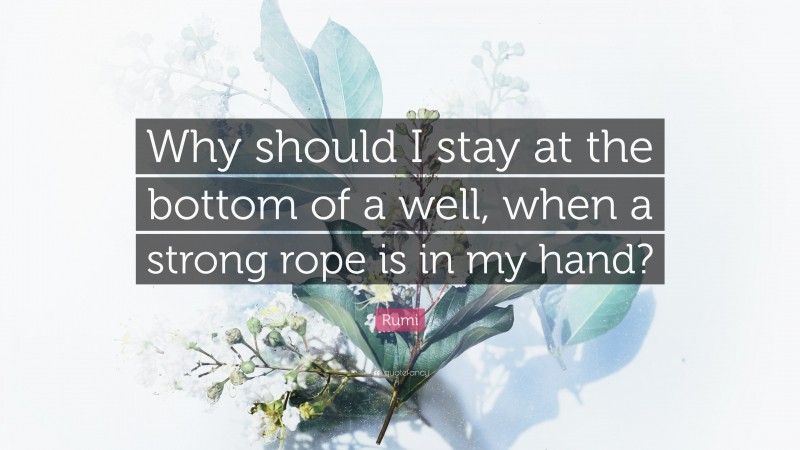 Rumi Quote: “Why should I stay at the bottom of a well, when a strong rope is in my hand?”