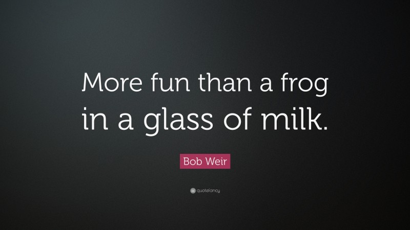 Bob Weir Quote: “More fun than a frog in a glass of milk.”