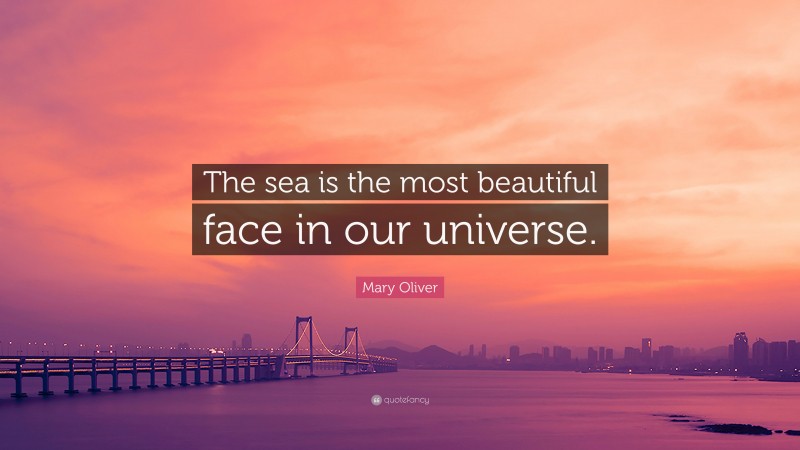 Mary Oliver Quote: “The sea is the most beautiful face in our universe.”