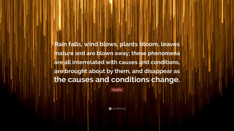Buddha Quote: “Rain falls, wind blows, plants bloom, leaves mature and are blown away; these phenomena are all interrelated with causes and conditions, are brought about by them, and disappear as the causes and conditions change.”