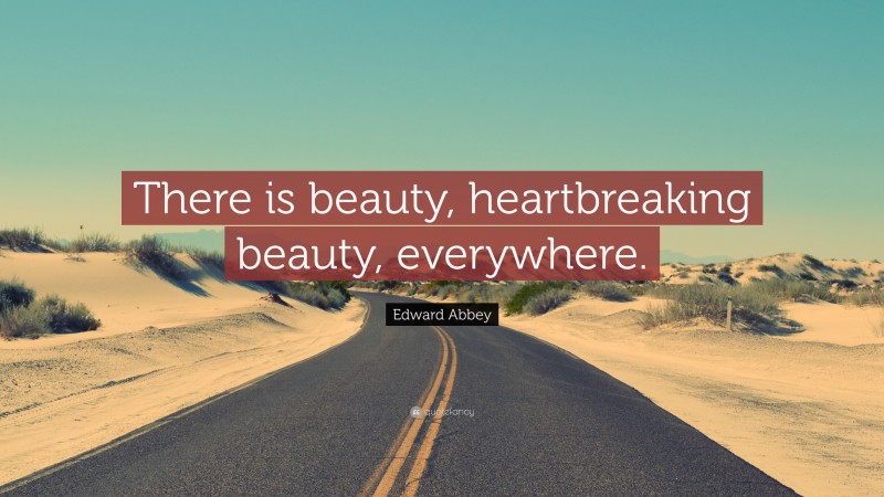 Edward Abbey Quote: “There is beauty, heartbreaking beauty, everywhere.”