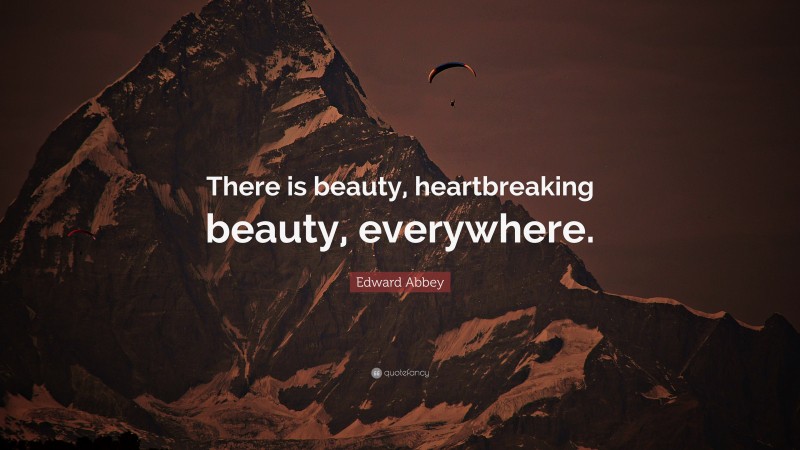 Edward Abbey Quote: “There is beauty, heartbreaking beauty, everywhere.”