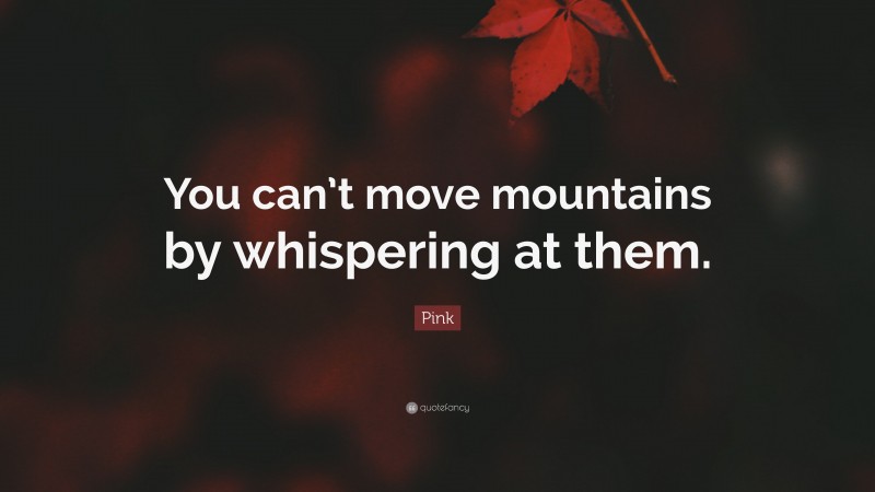 Pink Quote: “You can’t move mountains by whispering at them.”
