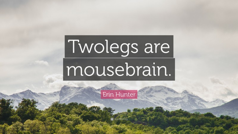 Erin Hunter Quote: “Twolegs are mousebrain.”