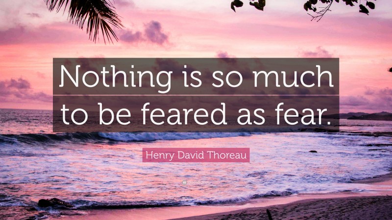 Henry David Thoreau Quote: “Nothing is so much to be feared as fear.”
