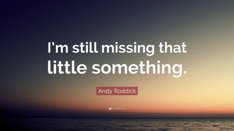 Andy Roddick Quote: “I’m still missing that little something.”