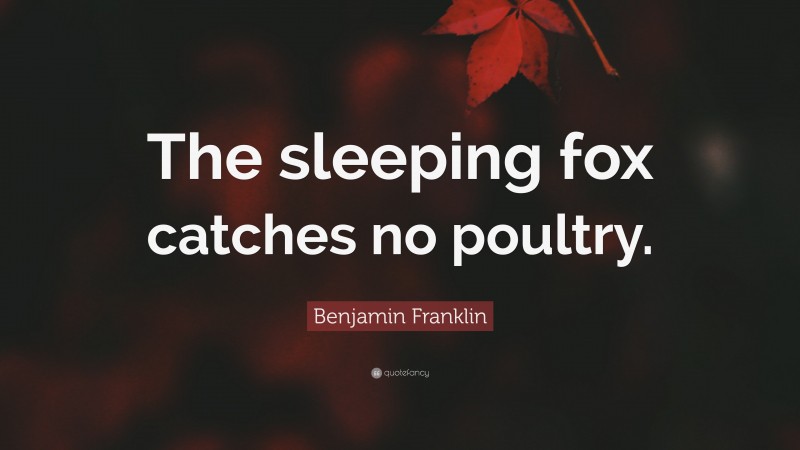 Benjamin Franklin Quote: “The sleeping fox catches no poultry.”