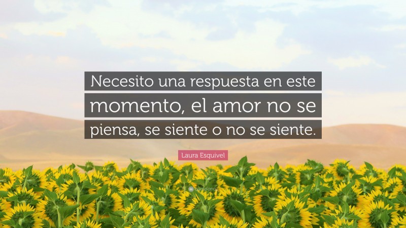 Laura Esquivel Quote: “Necesito una respuesta en este momento, el amor no se piensa, se siente o no se siente.”