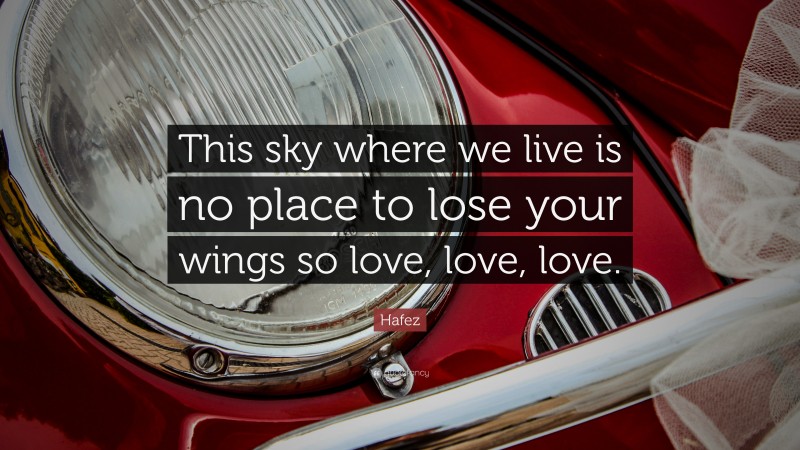 Hafez Quote: “This sky where we live is no place to lose your wings so love, love, love.”