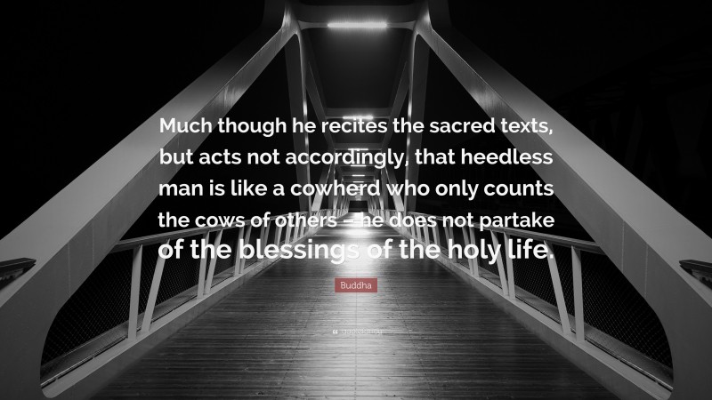 Buddha Quote: “Much though he recites the sacred texts, but acts not accordingly, that heedless man is like a cowherd who only counts the cows of others – he does not partake of the blessings of the holy life.”