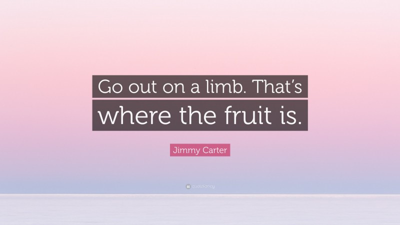 Jimmy Carter Quote: “Go out on a limb. That’s where the fruit is.”