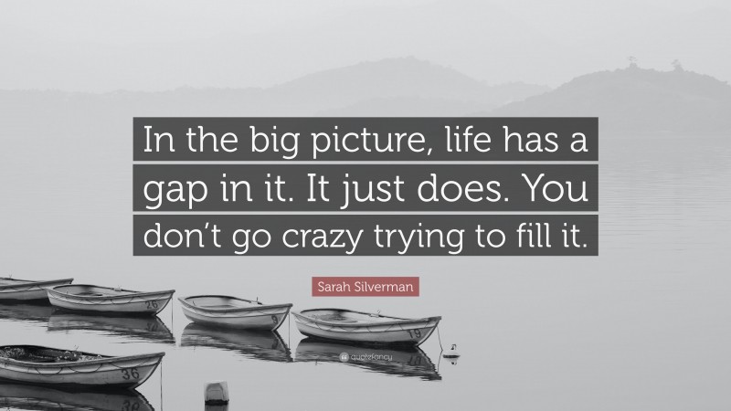 Sarah Silverman Quote: “In the big picture, life has a gap in it. It just does. You don’t go crazy trying to fill it.”