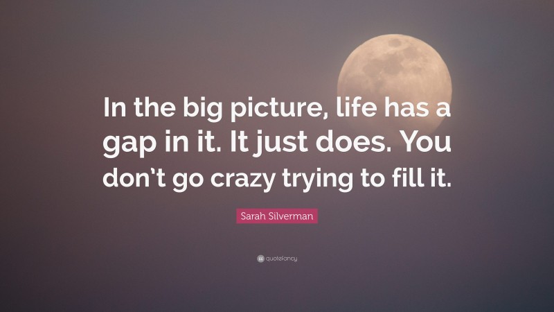 Sarah Silverman Quote: “In the big picture, life has a gap in it. It just does. You don’t go crazy trying to fill it.”