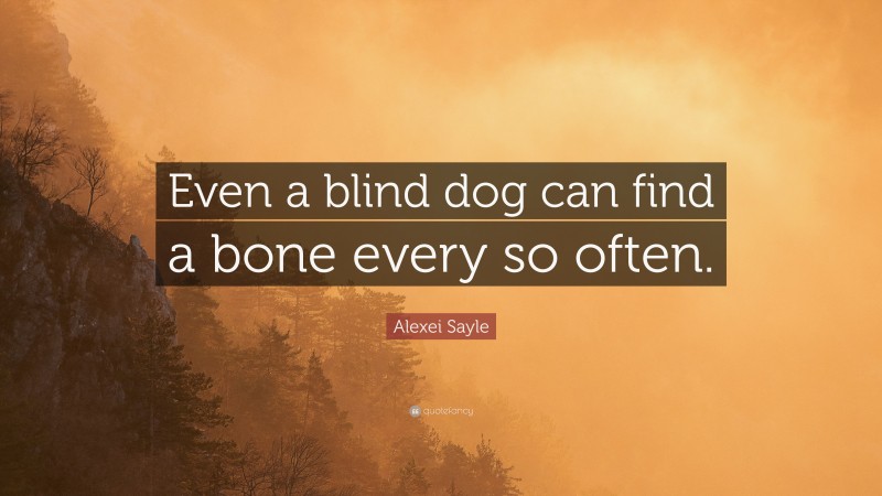 Alexei Sayle Quote: “Even a blind dog can find a bone every so often.”