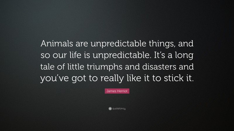 James Herriot Quote: “Animals are unpredictable things, and so our life is unpredictable. It’s a long tale of little triumphs and disasters and you’ve got to really like it to stick it.”
