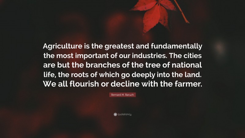 Bernard M. Baruch Quote: “Agriculture is the greatest and fundamentally the most important of our industries. The cities are but the branches of the tree of national life, the roots of which go deeply into the land. We all flourish or decline with the farmer.”
