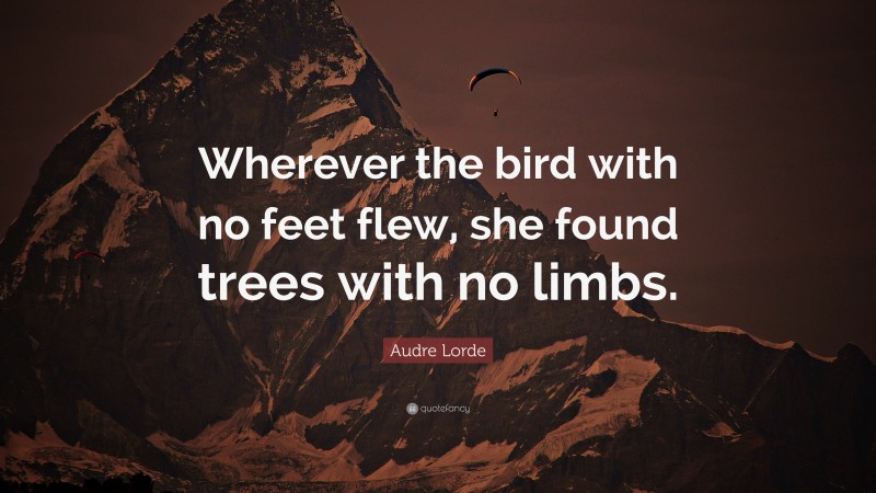 Audre Lorde Quote: “Wherever the bird with no feet flew, she found trees with no limbs.”