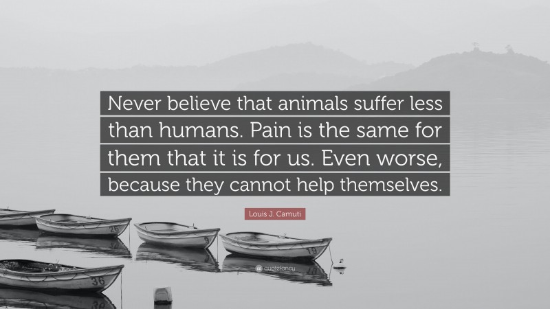 Louis J. Camuti Quote: “Never believe that animals suffer less than humans. Pain is the same for them that it is for us. Even worse, because they cannot help themselves.”