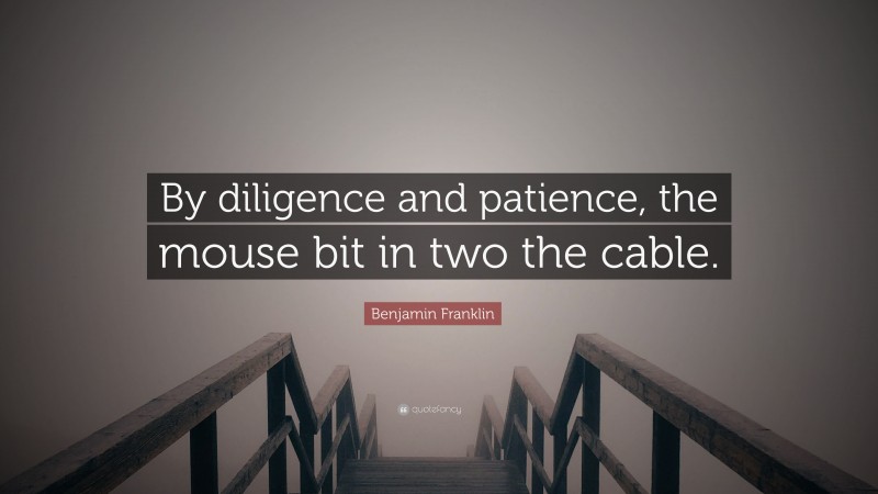 Benjamin Franklin Quote: “By diligence and patience, the mouse bit in two the cable.”