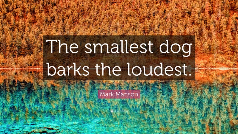 Mark Manson Quote: “The smallest dog barks the loudest.”