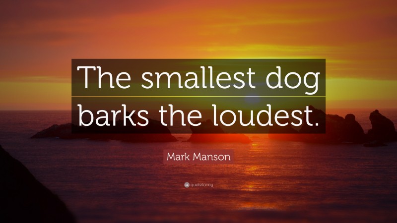 Mark Manson Quote: “The smallest dog barks the loudest.”