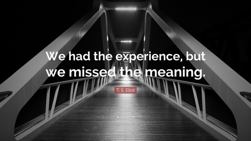 T. S. Eliot Quote: “We had the experience, but we missed the meaning.”