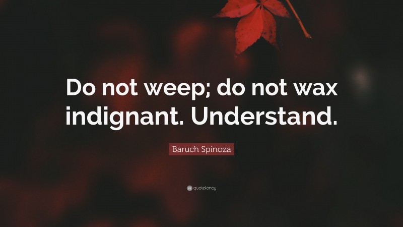 Baruch Spinoza Quote: “Do not weep; do not wax indignant. Understand.”