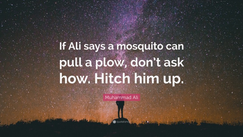 Muhammad Ali Quote: “If Ali says a mosquito can pull a plow, don’t ask how. Hitch him up.”