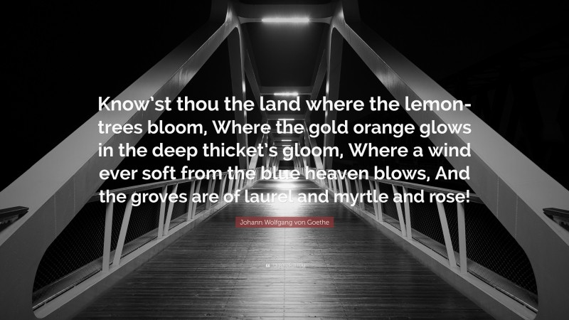 Johann Wolfgang von Goethe Quote: “Know’st thou the land where the lemon-trees bloom, Where the gold orange glows in the deep thicket’s gloom, Where a wind ever soft from the blue heaven blows, And the groves are of laurel and myrtle and rose!”