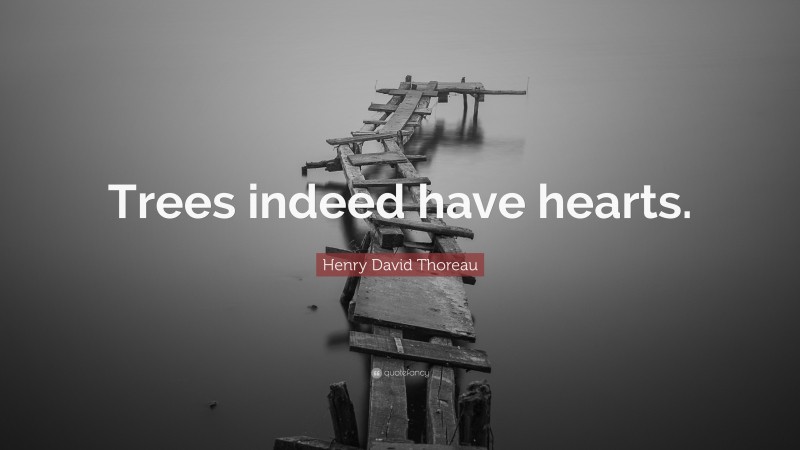 Henry David Thoreau Quote: “Trees indeed have hearts.”