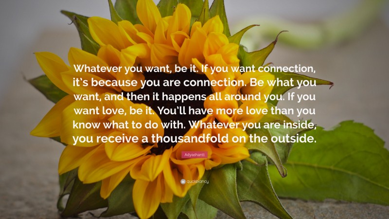 Adyashanti Quote: “Whatever you want, be it. If you want connection, it’s because you are connection. Be what you want, and then it happens all around you. If you want love, be it. You’ll have more love than you know what to do with. Whatever you are inside, you receive a thousandfold on the outside.”
