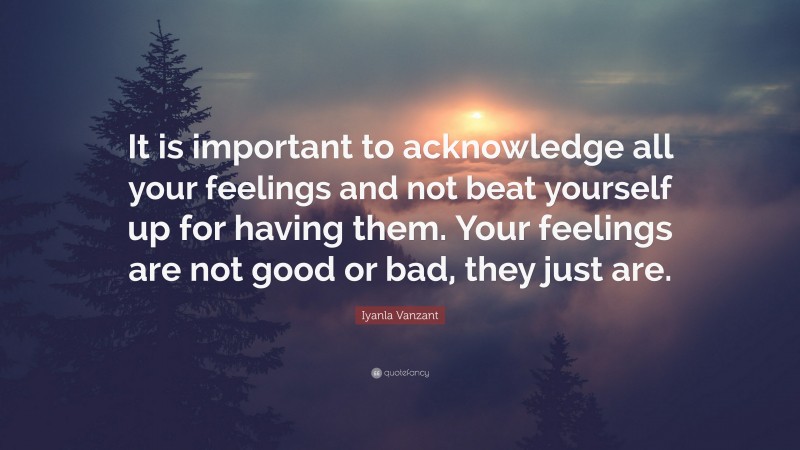 Iyanla Vanzant Quote: “It is important to acknowledge all your feelings and not beat yourself up for having them. Your feelings are not good or bad, they just are.”