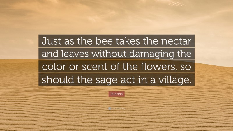 Buddha Quote: “Just as the bee takes the nectar and leaves without damaging the color or scent of the flowers, so should the sage act in a village.”