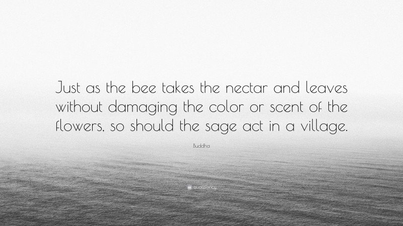 Buddha Quote: “Just as the bee takes the nectar and leaves without damaging the color or scent of the flowers, so should the sage act in a village.”