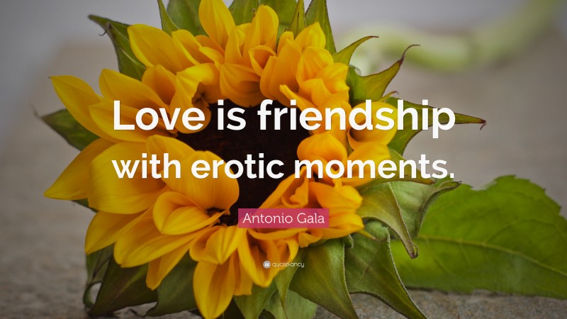 Antonio Gala Quote: “Love is friendship with erotic moments.”