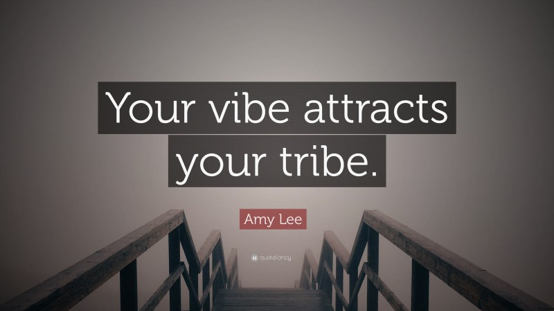 Amy Lee Quote: “Your vibe attracts your tribe.”