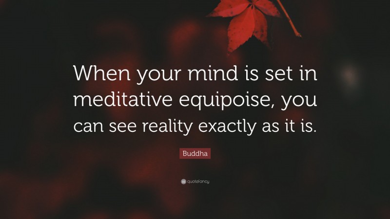 Buddha Quote: “When your mind is set in meditative equipoise, you can see reality exactly as it is.”