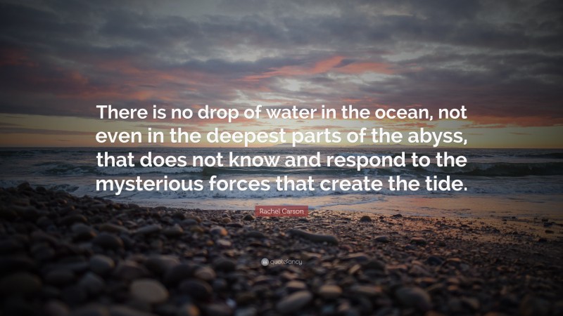 Rachel Carson Quote: “There is no drop of water in the ocean, not even in the deepest parts of the abyss, that does not know and respond to the mysterious forces that create the tide.”