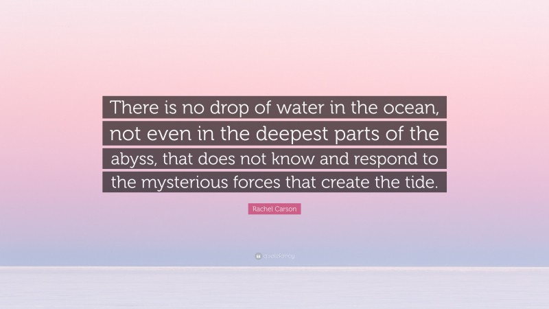 Rachel Carson Quote: “There is no drop of water in the ocean, not even in the deepest parts of the abyss, that does not know and respond to the mysterious forces that create the tide.”