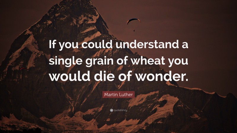 Martin Luther Quote: “If you could understand a single grain of wheat you would die of wonder.”