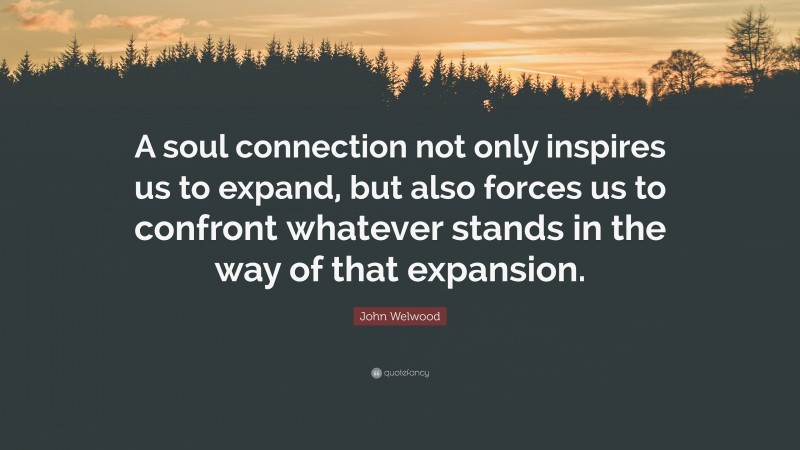 John Welwood Quote: “A soul connection not only inspires us to expand, but also forces us to confront whatever stands in the way of that expansion.”