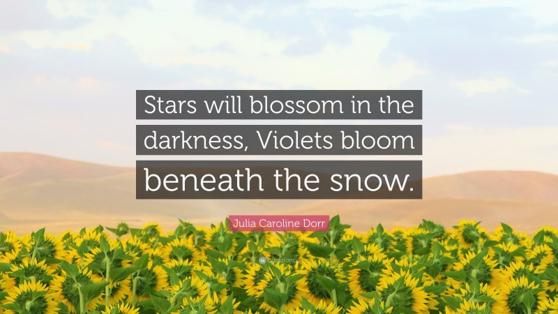 Julia Caroline Dorr Quote: “Stars will blossom in the darkness, Violets bloom beneath the snow.”