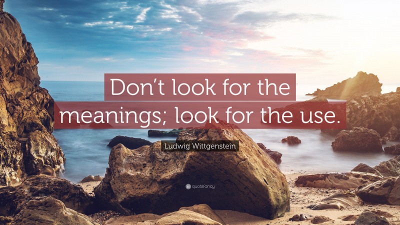 Ludwig Wittgenstein Quote: “Don’t look for the meanings; look for the use.”