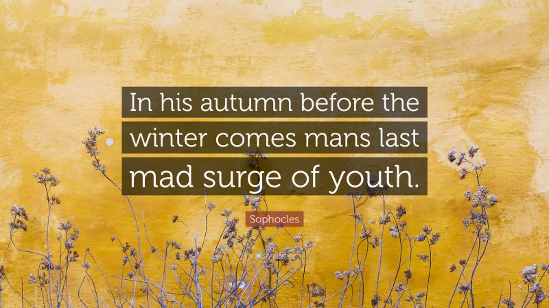 Sophocles Quote: “In his autumn before the winter comes mans last mad surge of youth.”