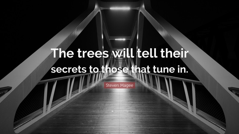 Steven Magee Quote: “The trees will tell their secrets to those that tune in.”