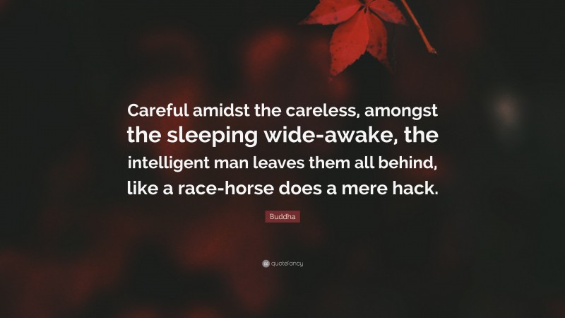 Buddha Quote: “Careful amidst the careless, amongst the sleeping wide-awake, the intelligent man leaves them all behind, like a race-horse does a mere hack.”