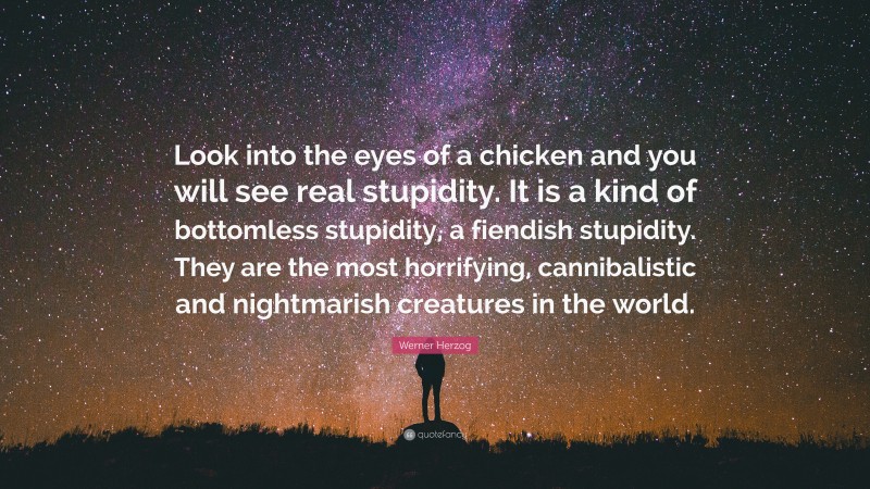 Werner Herzog Quote: “Look into the eyes of a chicken and you will see real stupidity. It is a kind of bottomless stupidity, a fiendish stupidity. They are the most horrifying, cannibalistic and nightmarish creatures in the world.”
