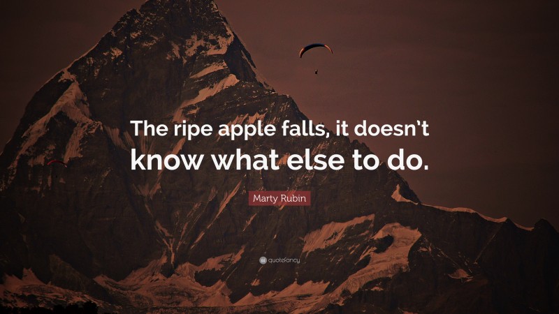 Marty Rubin Quote: “The ripe apple falls, it doesn’t know what else to do.”