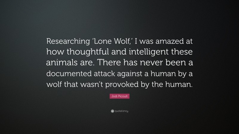 Jodi Picoult Quote: “Researching ‘Lone Wolf,’ I was amazed at how thoughtful and intelligent these animals are. There has never been a documented attack against a human by a wolf that wasn’t provoked by the human.”